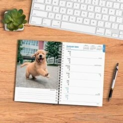 Browntrout 23-2024 Weekly/Monthly Planner 7.5"x7.125" Puppies I Love 5 Browntrout 23-2024 Weekly/Monthly Planner 7.5"x7.125" Puppies I Love -Office Supplies Store GUEST 0562854f 24c2 4dc4 a860 a43003ed29d5