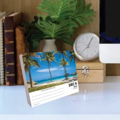Willow Creek Press 2024 Daily Desk Calendar 5.2"x6.2" Ah The Beach -Office Supplies Store GUEST 092c2cf1 add6 41b7 bad2 8a4f9adcf83c