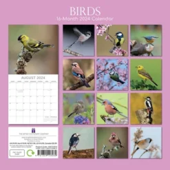 The Gifted Stationery 2024 Square Wall Calendar, Birds, 16-Month Animals Theme With 180 Reminder Stickers (12 X 12 In) -Office Supplies Store GUEST 0ee1aeb7 db24 4302 bb37 2d5d5a5dd643