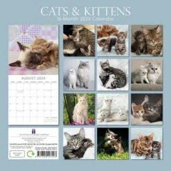 The Gifted Stationery 2024 Square Wall Calendar, Cats & Kittens, 16-Month Animals Theme With 180 Reminder Stickers (12 X 12 In) -Office Supplies Store GUEST 10592549 a69a 40c7 a23d cf42bf6c0d16