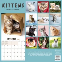 TF Publishing 2024 Wall Calendar 12"x12" Kittens -Office Supplies Store GUEST 1296d564 bdbc 4acd ba3f def380fbff1b