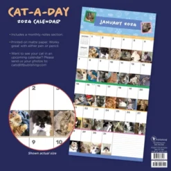 TF Publishing 2024 Wall Calendar 12"x12" Cat-A-Day -Office Supplies Store GUEST 12a2c6c3 c067 47fb 9289 24ed19c5de4a