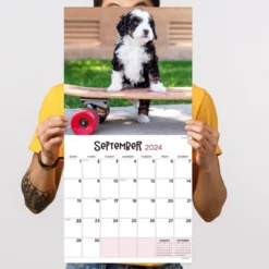 TF Publishing 2024 Wall Calendar 12"x12" Puppies -Office Supplies Store GUEST 13a5c0fa 080c 44f5 9d53 013667fc90fd