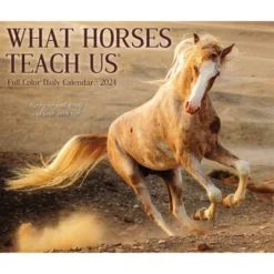 Willow Creek Press 2024 Daily Desk Calendar 5.2"x6.2" What Horses Teach Us -Office Supplies Store GUEST 14cba762 2ea4 4dcf 99d3 2d20cbe11676