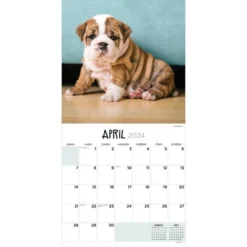 TF Publishing 2024 Wall Calendar 12"x12" Puppies