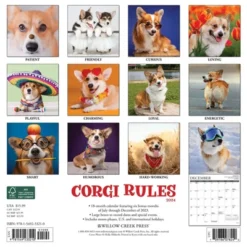 Willow Creek Press 2024 Wall Calendar 12"x12" Corgi Rules