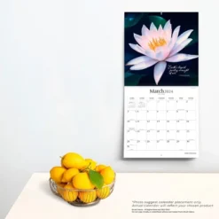 Brush Dance 2024 Wall Calendar 12"x12" Jewel Of The Lotus 5 Brush Dance 2024 Wall Calendar 12"x12" Jewel Of The Lotus -Office Supplies Store GUEST 2956d35f 96c7 42ea a044 e17929bbe05e
