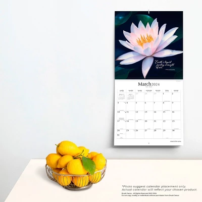 Brush Dance 2024 Wall Calendar 12"x12" Jewel Of The Lotus 3 Brush Dance 2024 Wall Calendar 12"x12" Jewel Of The Lotus - Image 3