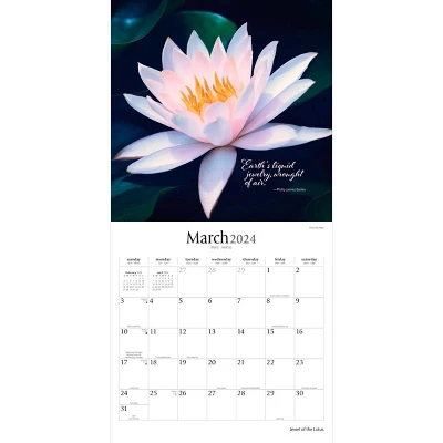 Brush Dance 2024 Wall Calendar 12"x12" Jewel Of The Lotus 2 Brush Dance 2024 Wall Calendar 12"x12" Jewel Of The Lotus - Image 2