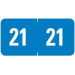 Smead ETS Color-Coded Year Label, 2021, Label Sheet, Light Blue, 250 Per Pack (67921)