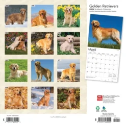 Browntrout 2024 Wall Calendar 12"x12" Golden Retrievers Foiled