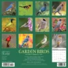 Willow Creek Press 2024 Wall Calendar 12"x12" Garden Birds