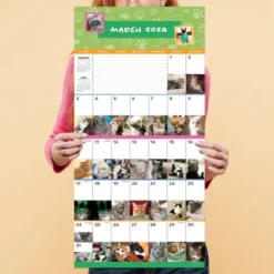TF Publishing 2024 Wall Calendar 12"x12" Cat-A-Day -Office Supplies Store GUEST 3b7870e4 aa6c 4b54 b39b ea8ef60a4fcd