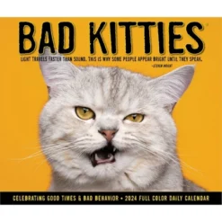 Willow Creek Press 2024 Daily Desk Calendar 5.2"x6.2" Bad Kitties -Office Supplies Store GUEST 3c28d4c2 73ff 47eb b442 3b37608b036e