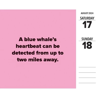 Willow Creek Press 2024 Daily Desk Calendar 5.2"x6.2" Today I Learned 2 Willow Creek Press 2024 Daily Desk Calendar 5.2"x6.2" Today I Learned - Image 2
