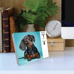 Willow Creek Press 2024 Daily Desk Calendar 5.2"x6.2" Dachshunds -Office Supplies Store GUEST 53ddb385 f6ad 4cd0 819a 9cfc83aa9704