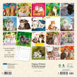 Plato 2023-2024 Wall Calendar 12"x12" Happy Kittens