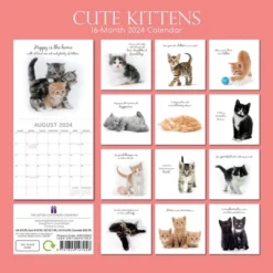 The Gifted Stationery 2024 Square Wall Calendar, Cute Kittens, 16-Month Animals Theme With 180 Reminder Stickers (12 X 12 In) 6 The Gifted Stationery 2024 Square Wall Calendar, Cute Kittens, 16-Month Animals Theme With 180 Reminder Stickers (12 X 12 In) -Office Supplies Store GUEST 60cabb25 966a 4e3f 849d 5c1603f3387e
