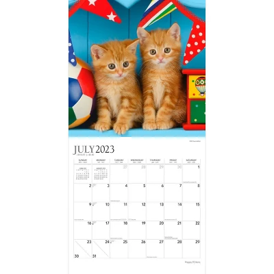 Plato 2023-2024 Wall Calendar 12"x12" Happy Kittens 2 Plato 2023-2024 Wall Calendar 12"x12" Happy Kittens - Image 2