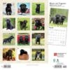 Browntrout 2024 Wall Calendar 12"x12" Labrador Retriever Puppies Black