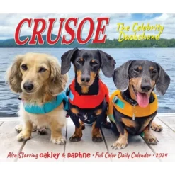 Willow Creek Press 2024 Daily Desk Calendar 5.2"x6.2" Crusoe The Celebrity Dachshund -Office Supplies Store GUEST 77c10f0c db13 4026 8401 86535ad5a645