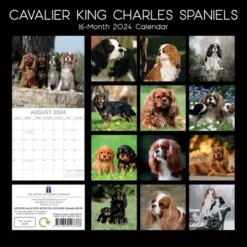 The Gifted Stationery 2024 Square Wall Calendar, Cavalier King Charles Spaniels, 16-Month Animals Theme With 180 Stickers (12 X 12 In) -Office Supplies Store GUEST 7881b0fa 38fc 4977 9e80 df71b958e4b3