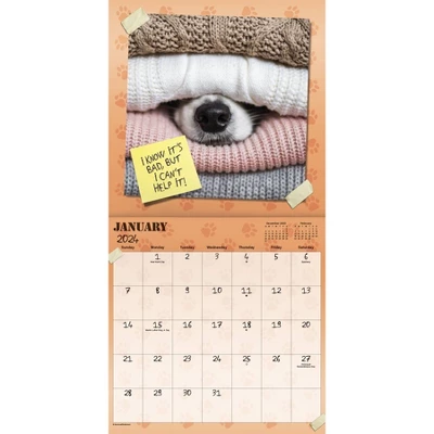 Trends International Inc. 2023-24 Wall Calendar 12"x12" Guilty Dog 1 Trends International Inc. 2023-24 Wall Calendar 12"x12" Guilty Dog