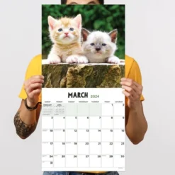 TF Publishing 2024 Wall Calendar 12"x12" Kittens -Office Supplies Store GUEST 9720745e b797 4324 9c6d 8b6019645eaf