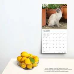 Browntrout 2024 Wall Calendar 12"x12" Siamese Cats -Office Supplies Store GUEST 9851ecde 9b98 4c82 993f 2bcc7bcc1dba
