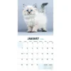 TF Publishing 2024 Wall Calendar 12"x12" Kittens