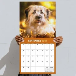 TF Publishing 2024 Wall Calendar 12"x12" Mutts -Office Supplies Store GUEST 9e62fd74 f5f9 42a3 9084 265a73b4f393