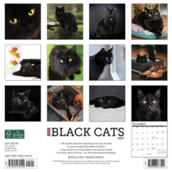 Willow Creek Press 2024 Wall Calendar 12"x12" Just Black Cats