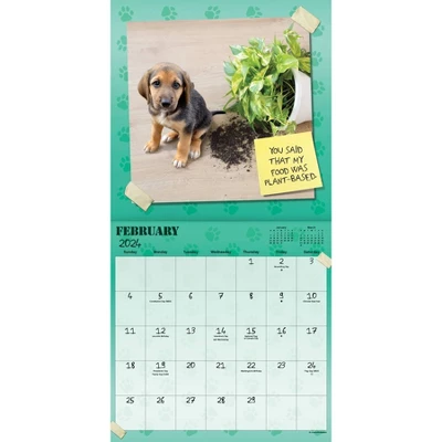 Trends International Inc. 2023-24 Wall Calendar 12"x12" Guilty Dog 2 Trends International Inc. 2023-24 Wall Calendar 12"x12" Guilty Dog - Image 2