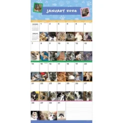 TF Publishing 2024 Wall Calendar 12"x12" Cat-A-Day