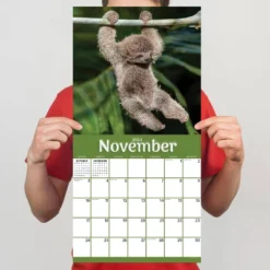 TF Publishing 2024 Wall Calendar 12"x12" Sloths -Office Supplies Store GUEST b5bce655 9c0f 4872 852c 4347ca877264