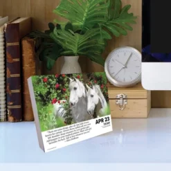 Willow Creek Press 2024 Daily Desk Calendar 5.2"x6.2" What Horses Teach Us -Office Supplies Store GUEST b777cd5e 7ebf 4162 92ba 2cfcace3d43f
