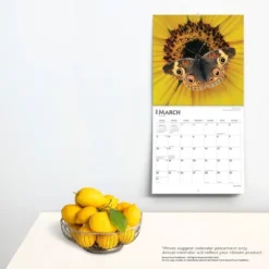 Browntrout 2024 Wall Calendar 12"x12" Butterflies -Office Supplies Store GUEST b82b8c33 f833 4767 8226 2dfa5d3d829e