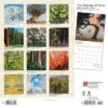 Browntrout 2024 Wall Calendar 12"x12" The Majesty Of Trees