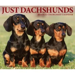 Willow Creek Press 2024 Daily Desk Calendar 5.2"x6.2" Dachshunds -Office Supplies Store GUEST c5aaf685 5e24 4cde addf da1d6523547a