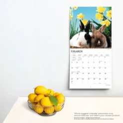 Browntrout 2024 Wall Calendar 12"x12" Honey Bunny -Office Supplies Store GUEST d4410e44 5616 4edc 9928 babff514c3f9
