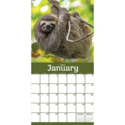 TF Publishing 2024 Wall Calendar 12"x12" Sloths
