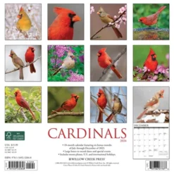 Willow Creek Press 2024 Wall Calendar 12"x12" Cardinals