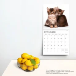 Plato 2023-2024 Wall Calendar 12"x12" Happy Kittens 6 Plato 2023-2024 Wall Calendar 12"x12" Happy Kittens -Office Supplies Store GUEST df4bb73c 0a0e 4693 9e62 56a5b7c2c16e
