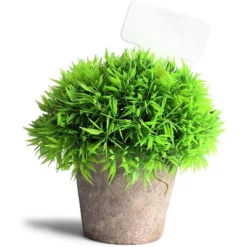 Okuna Outpost 150 Pack Reusable Herb Labels, Waterproof Plant T Stakes For Gardens, Planters (2.4 X 4 In)