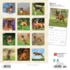 Browntrout 2024 Wall Calendar 12"x12" Boxers International Edition