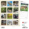 Browntrout 2024 Wall Calendar 12"x12" Wolves