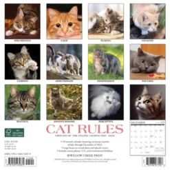 Willow Creek Press 2024 Wall Calendar 12"x12" Cat Rules
