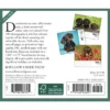 Willow Creek Press 2024 Daily Desk Calendar 5.2"x6.2" Dachshunds