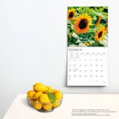 Browntrout 2024 Wall Calendar 12"x12" Sunflowers 5 Browntrout 2024 Wall Calendar 12"x12" Sunflowers -Office Supplies Store GUEST f779be32 baec 41e2 900d ed1927f655cf