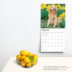 Browntrout 2024 Wall Calendar 12"x12" Golden Retrievers Foiled -Office Supplies Store GUEST f7c0f2b6 0dca 455f b091 a80005275acd